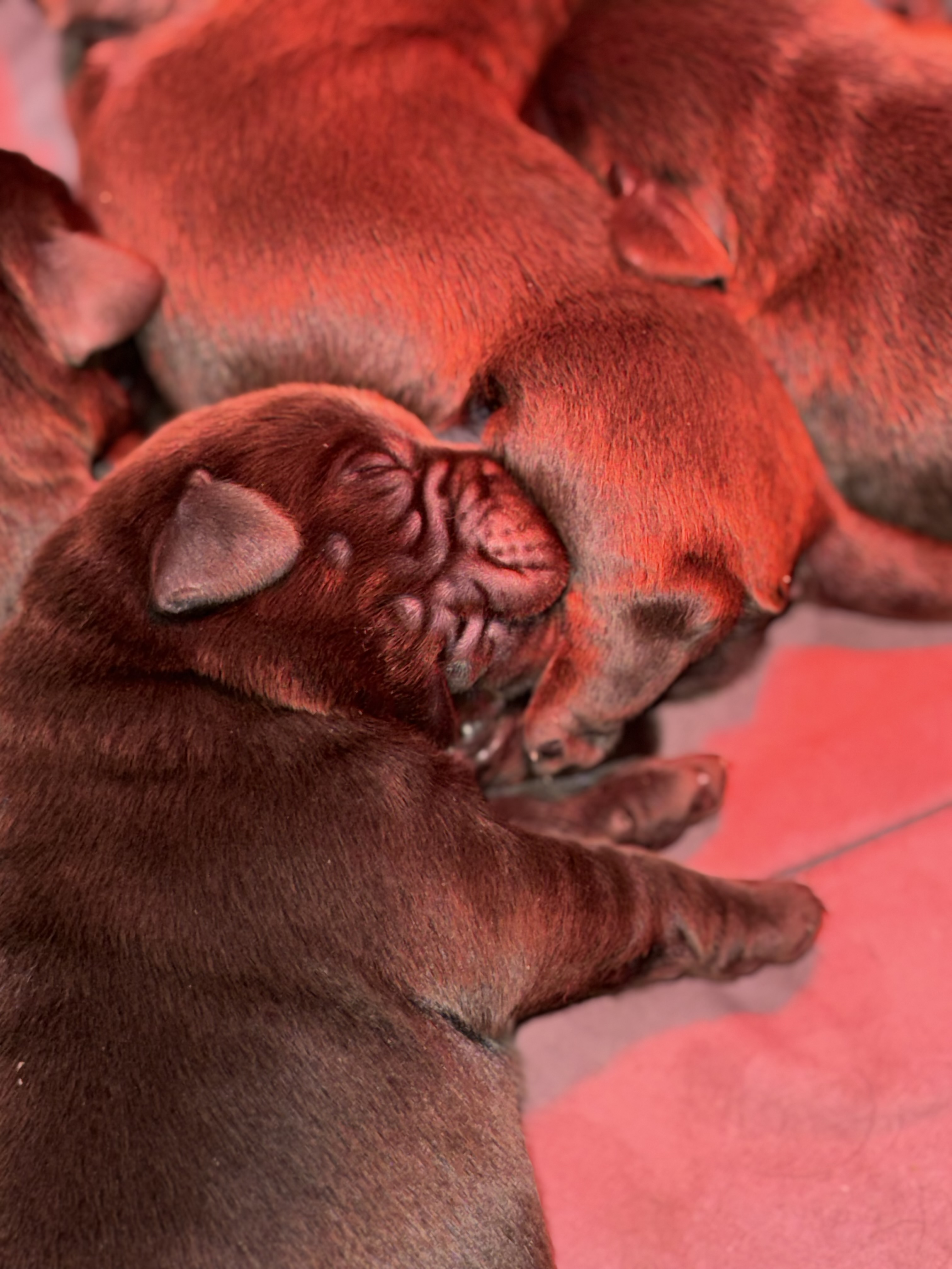 Izgalommal teli napokon vagyunk túl! 
