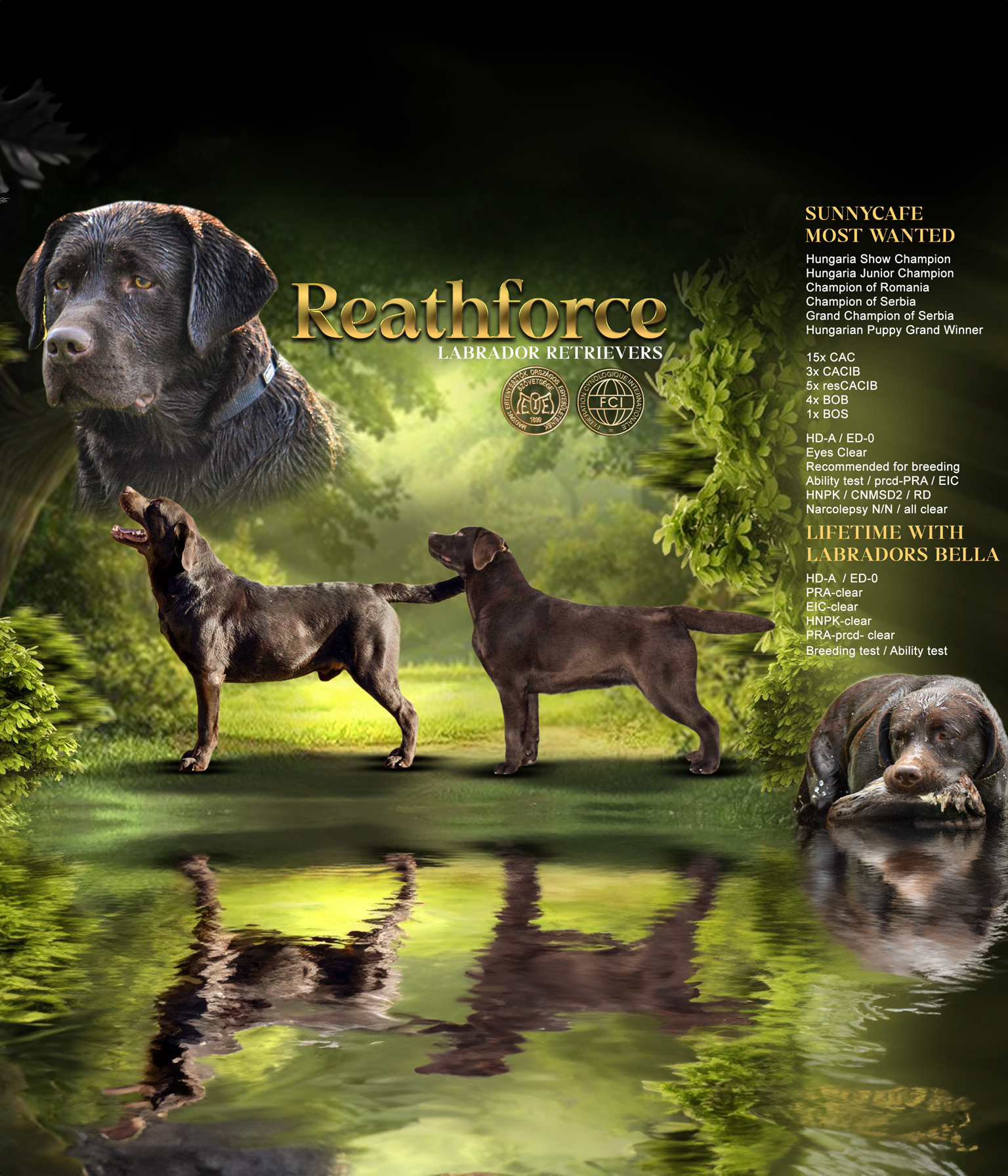 Új alom érkezését várjuk 2026 januárjában!